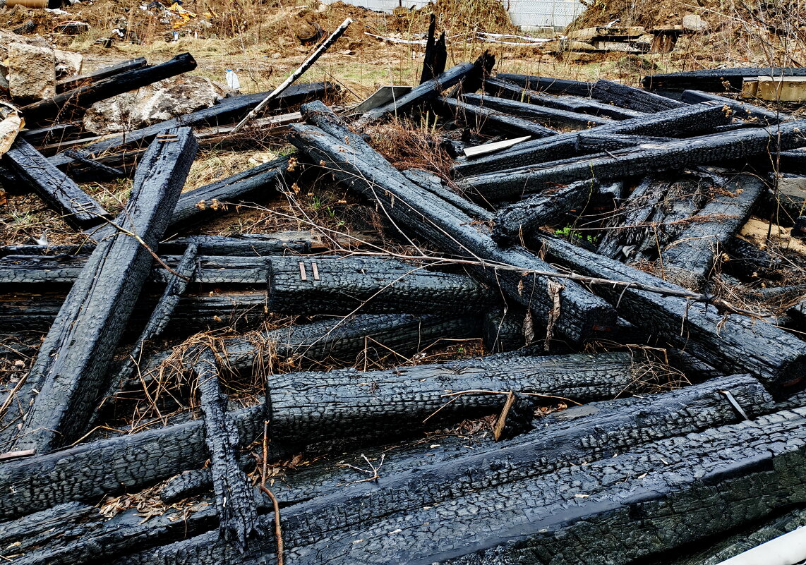 ОПЯТЬ ОТ МЕНЯ СБЕЖАЛА ПОСЛЕДНЯЯ ЭЛЕКТРИЧКА. ПСИХАНУЛ - Юрий Вовк