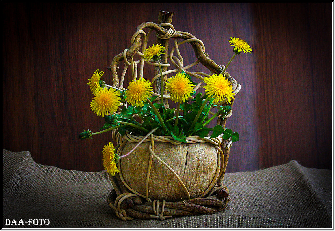 ОДУВАНЧИКИ. - Александр Дмитриев