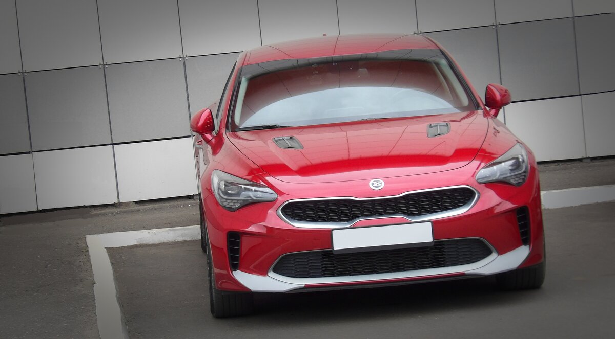 "Стингер" - Максим Орлов