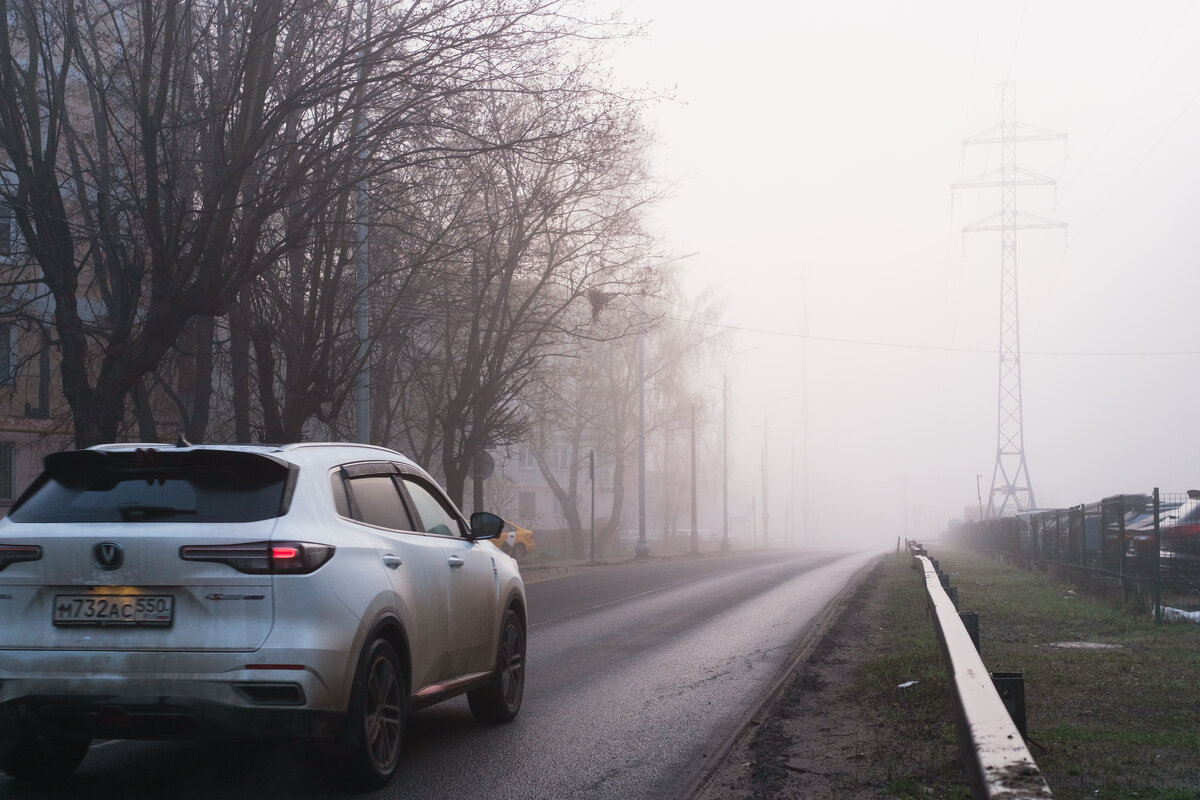 Утро. Туман. Дорога - Dar(k) Life