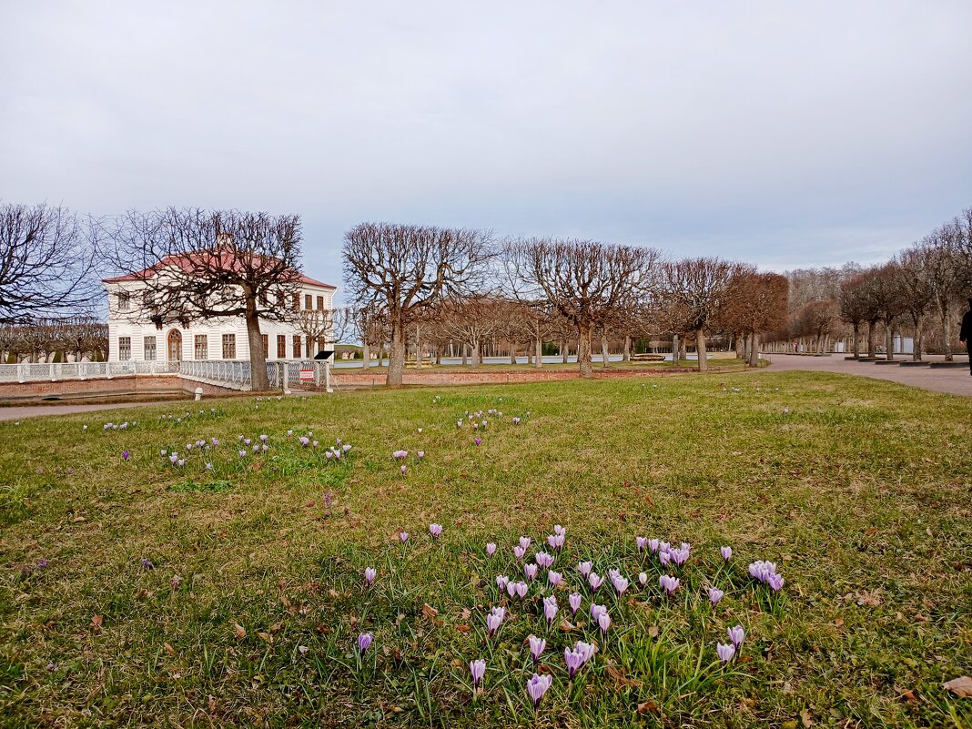 Апрель-2026 в Петергофе. - Лия ☼