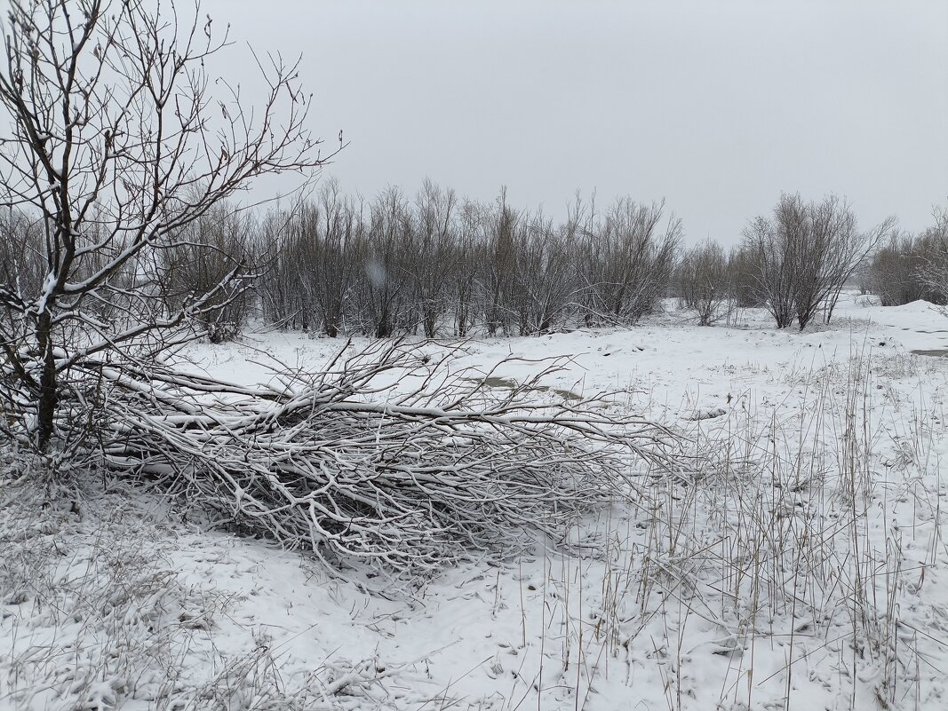 Снегопад - Anna Ivanova