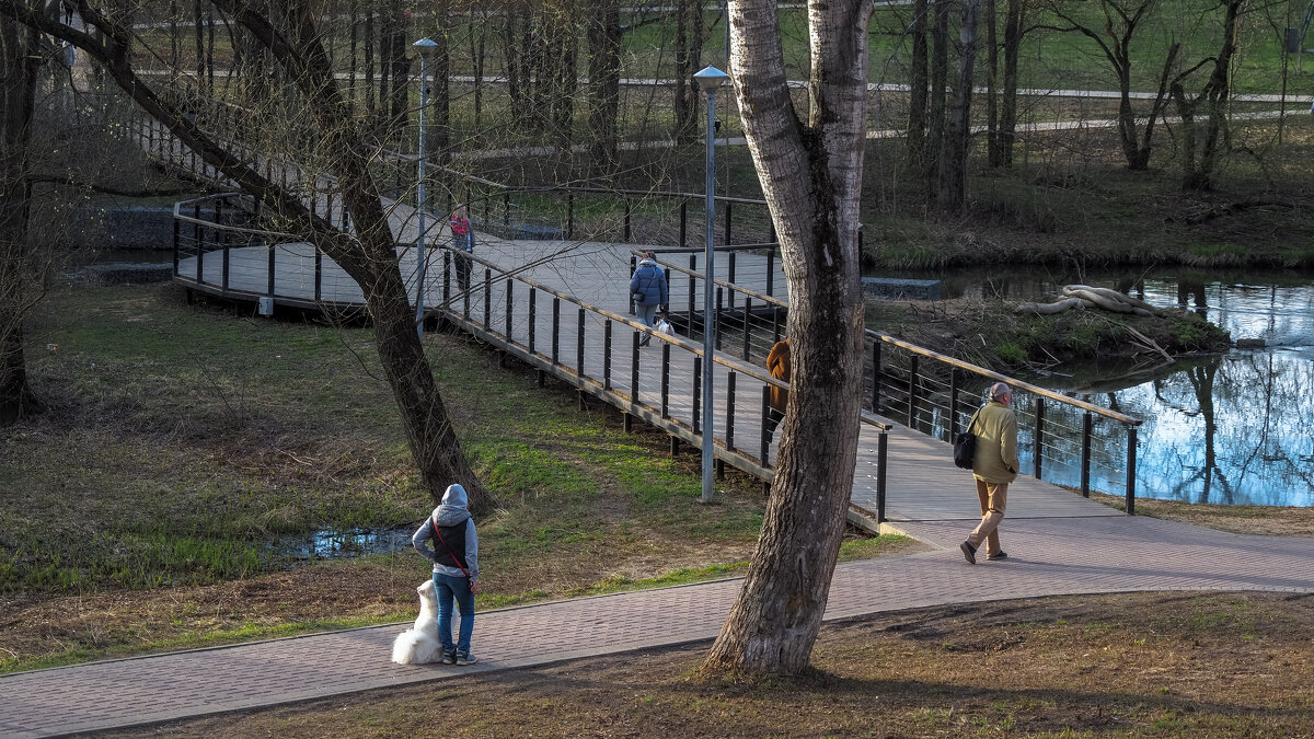 Прогулки в Весеннем Парке - юрий поляков