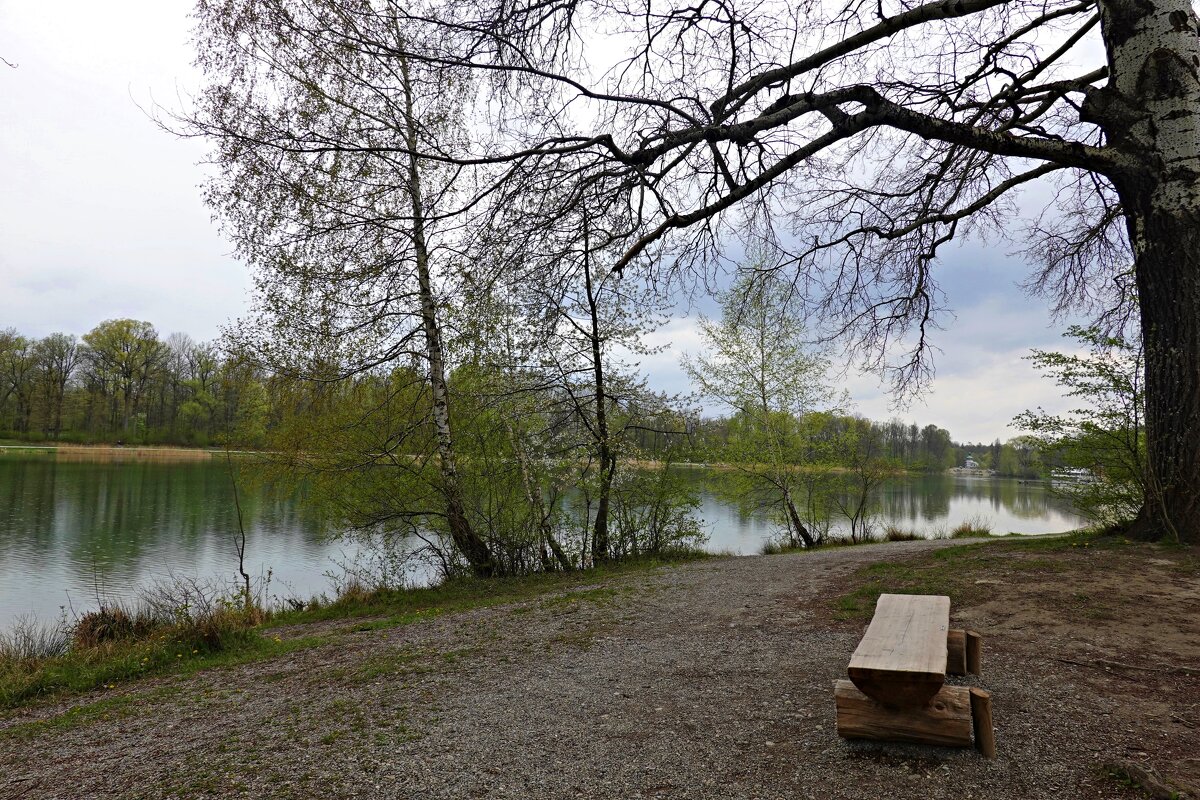 "нежностью апрель обременяет..." - Галина 