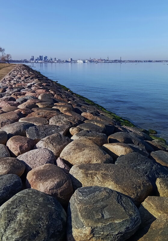 Серединка апреля.. - Татьян@ Ивановна