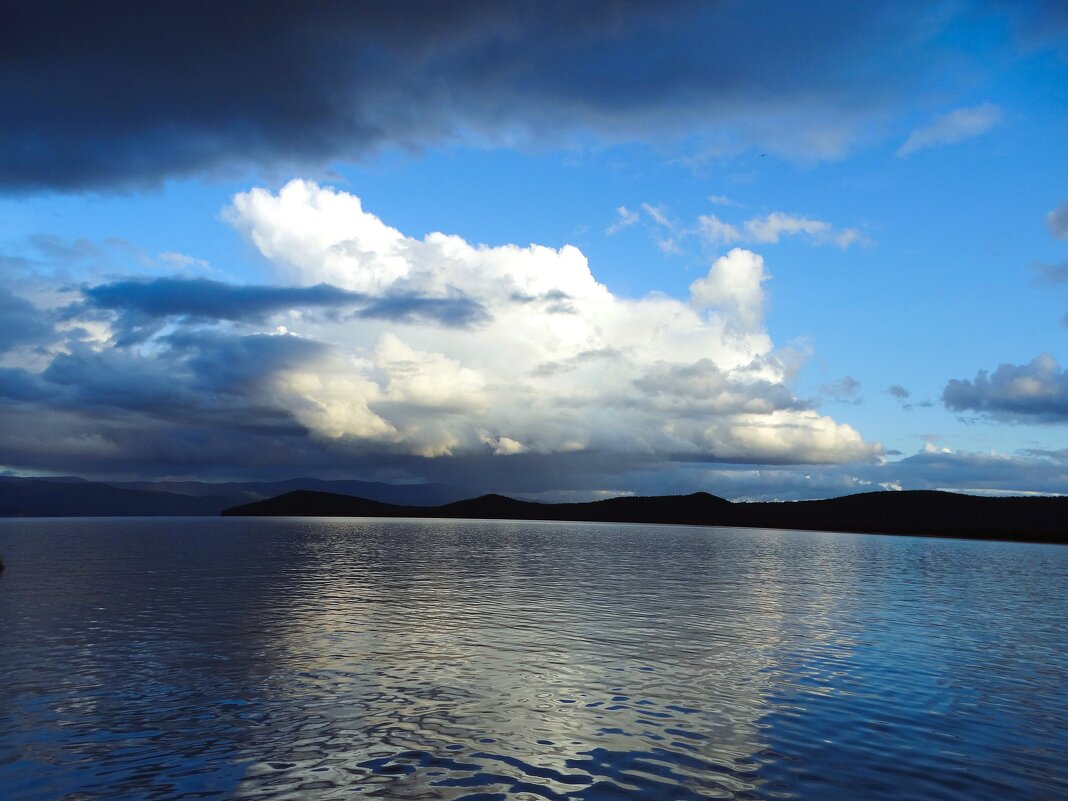 Из облачного - svk *