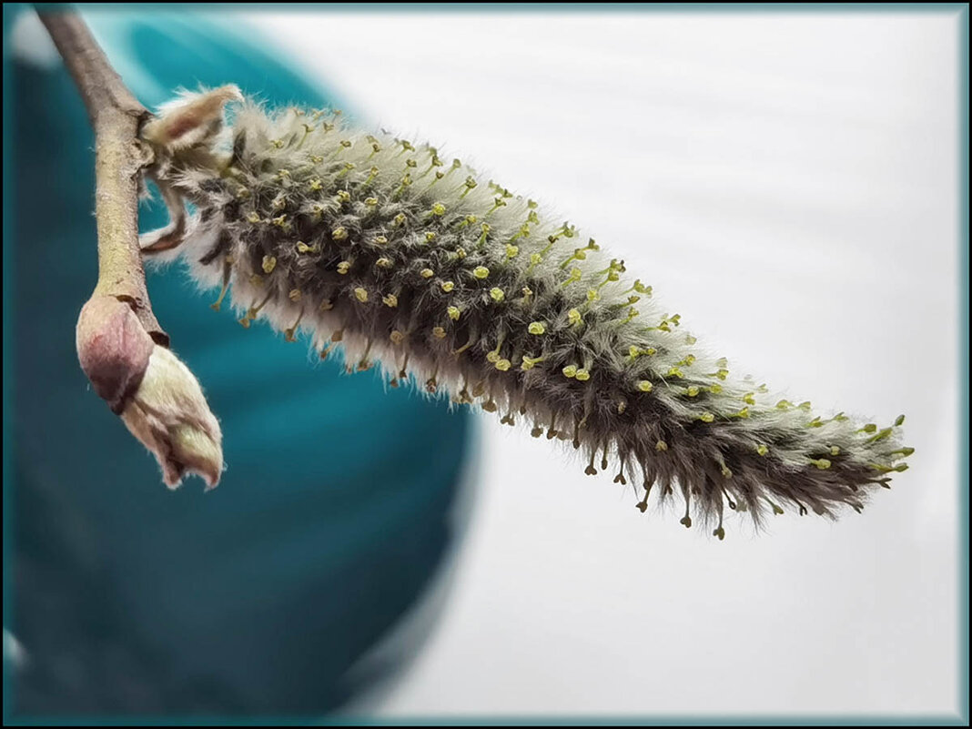 Я живу.... - Лилия *