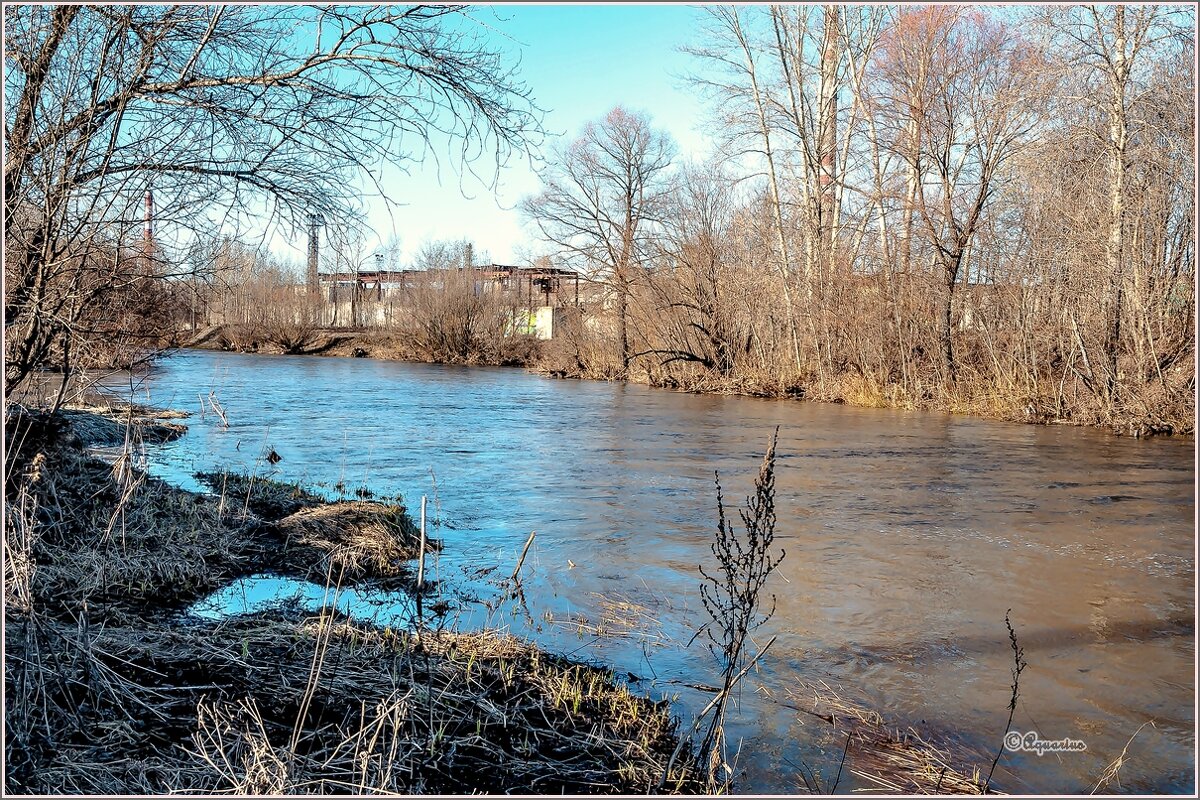 Весенние воды... - Aquarius - Сергей