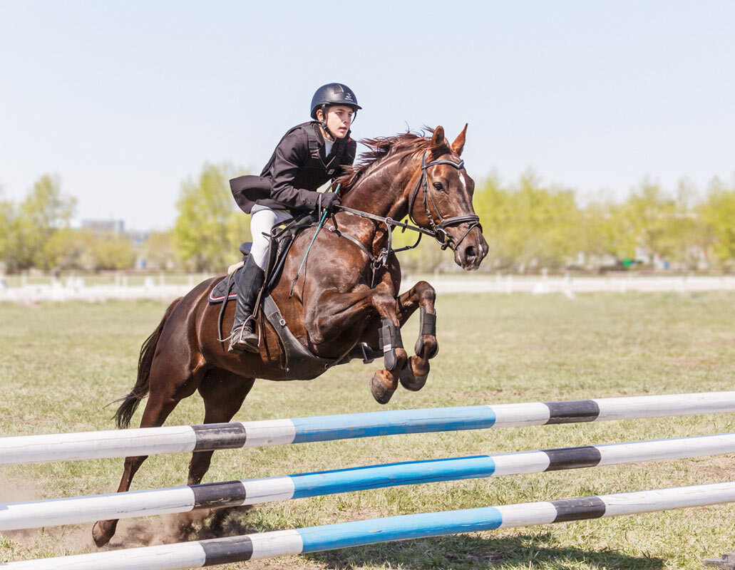 Конкур - SanSan 