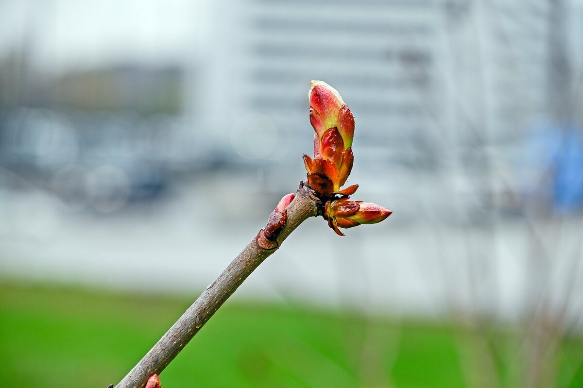 Позвони мне - Валерий Иванович
