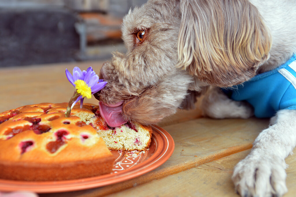 Полировальщик высшей категории... )) - Владимир Хиль