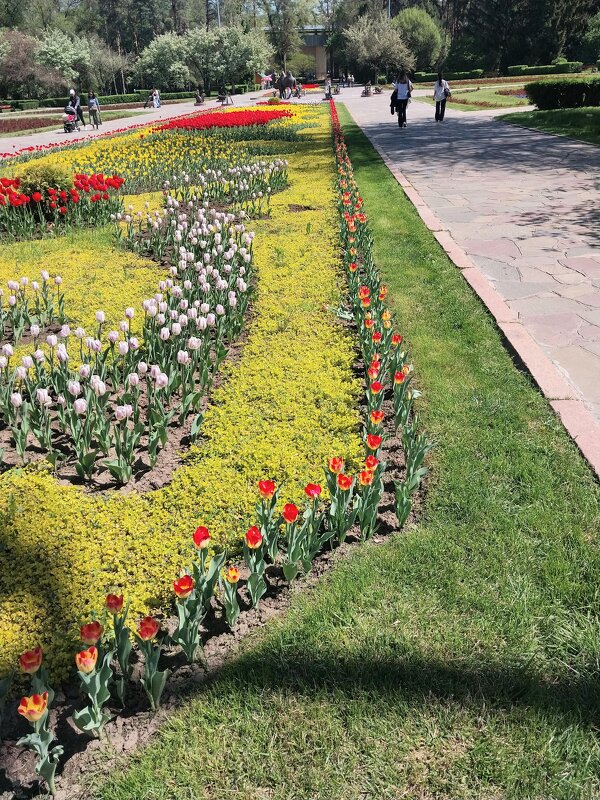 Almaty. - Murat Bukaev 