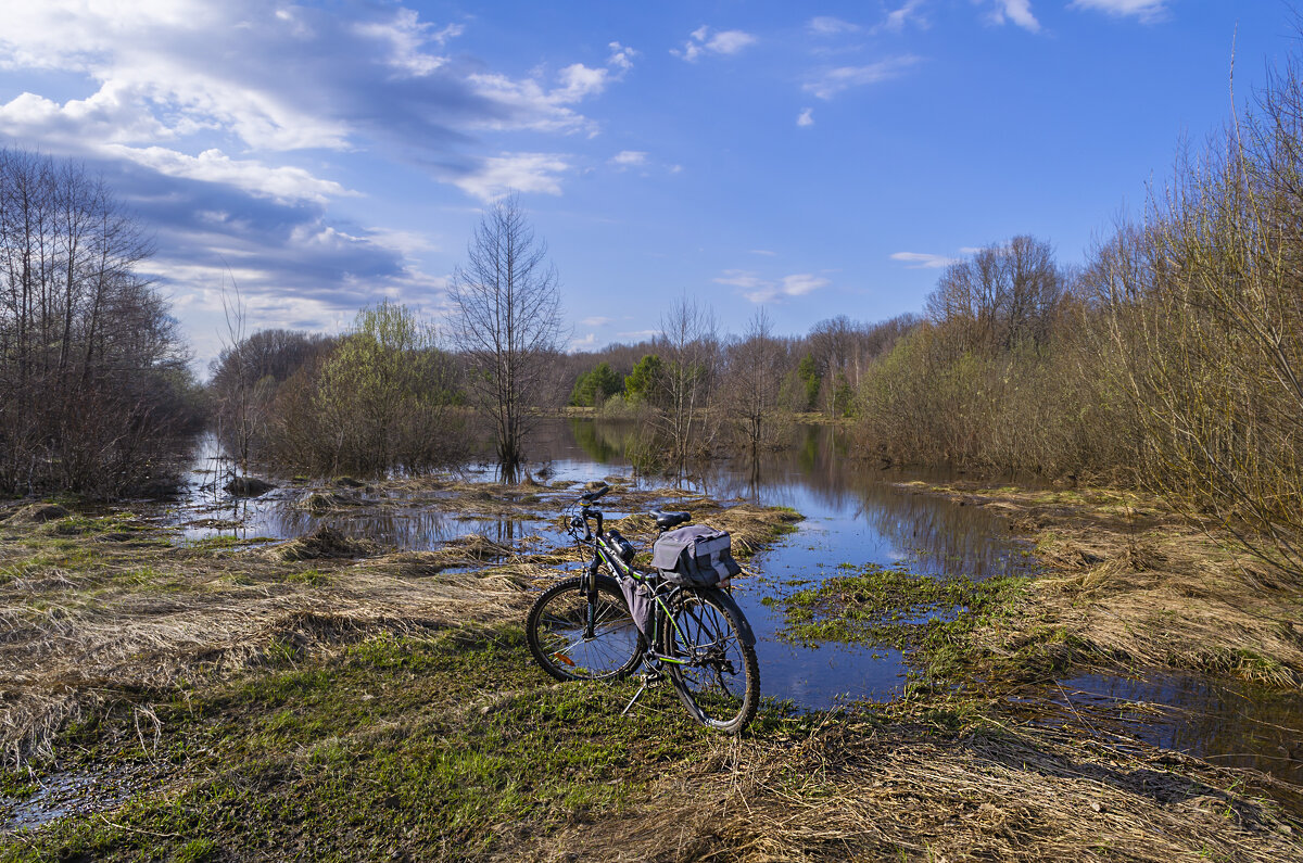 Ну никак не проехать - Сергей Цветков