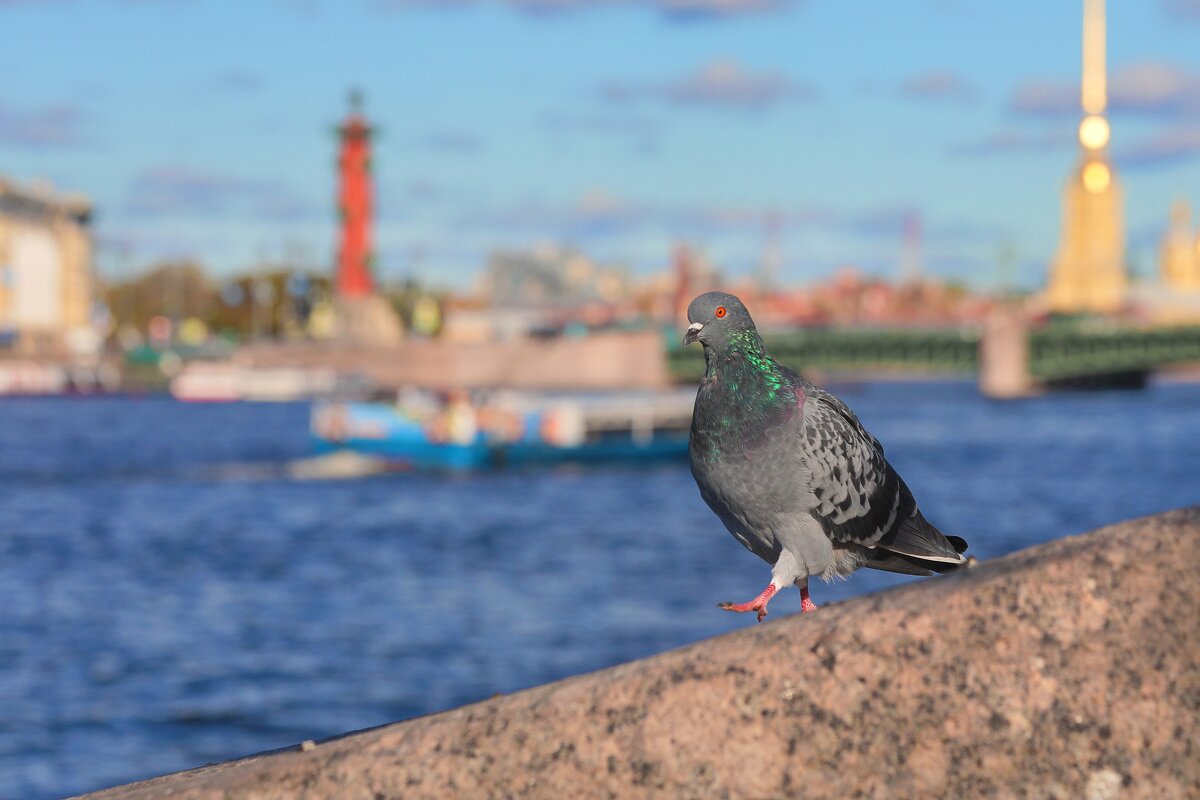 Левой, левой, раз-два-три. - Татьяна Бравая