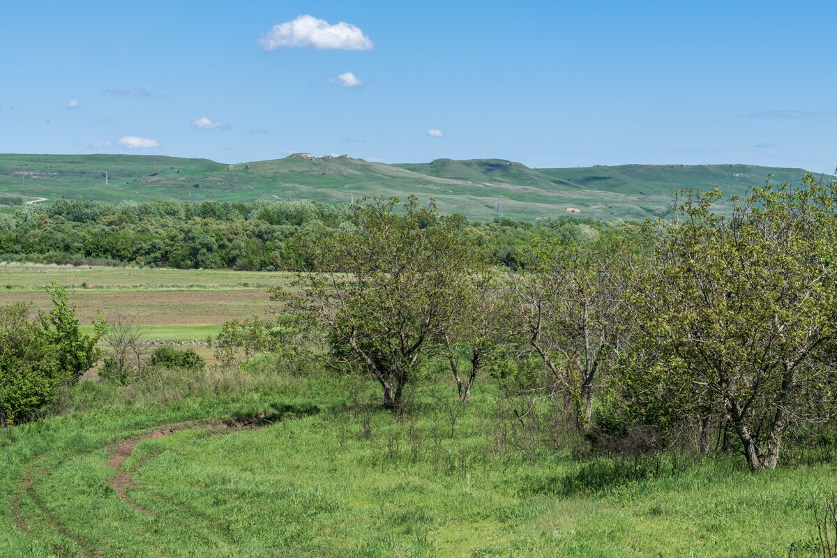Мои любимые окрестности - Игорь Сикорский