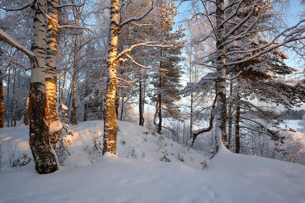 *** - Андрей Дурапов