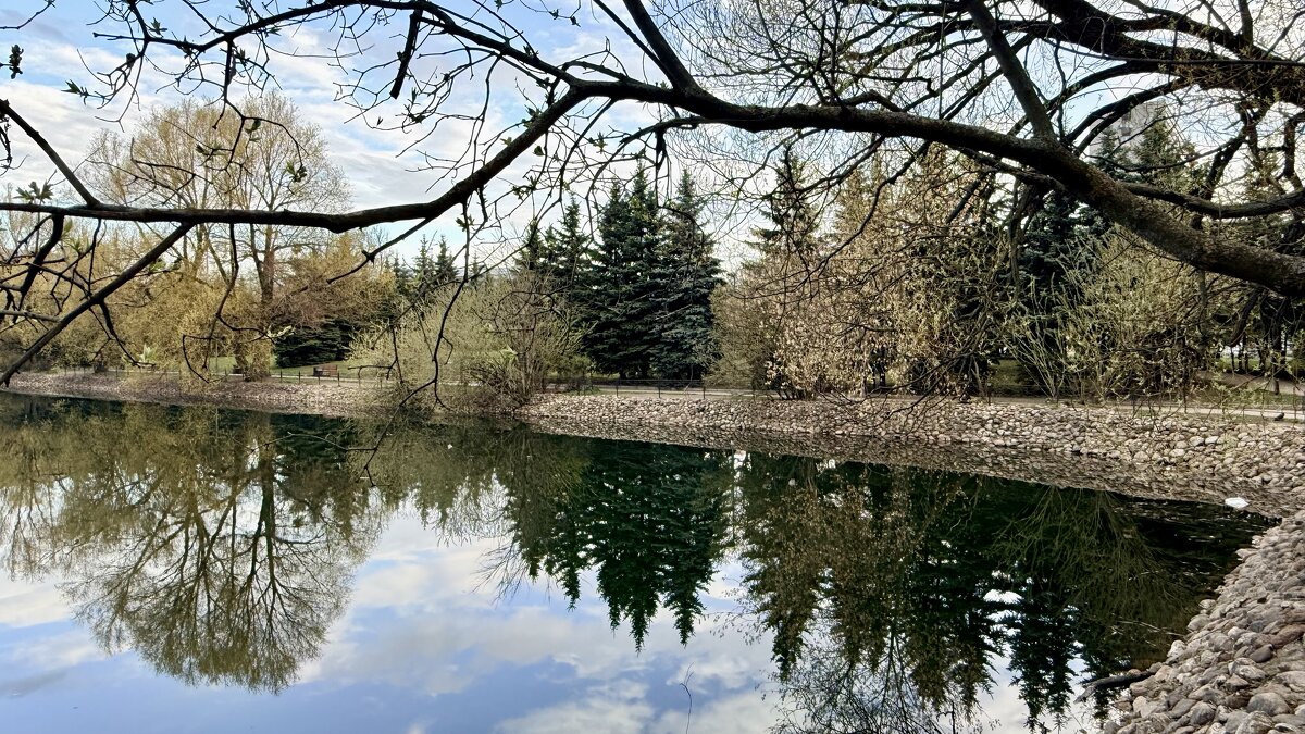 Апрель’ в городе’26 - Арина Невская