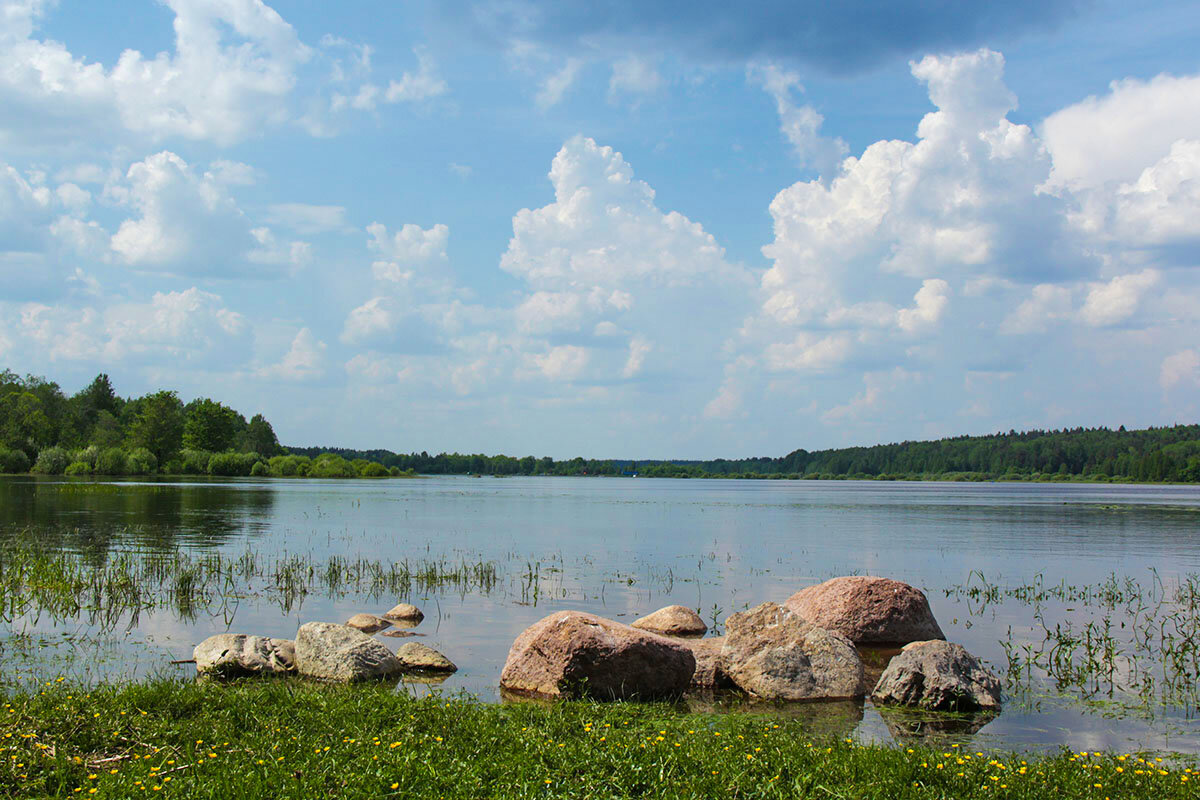 Озеро Мерёвское. Начало лета - Сергей Сомихин