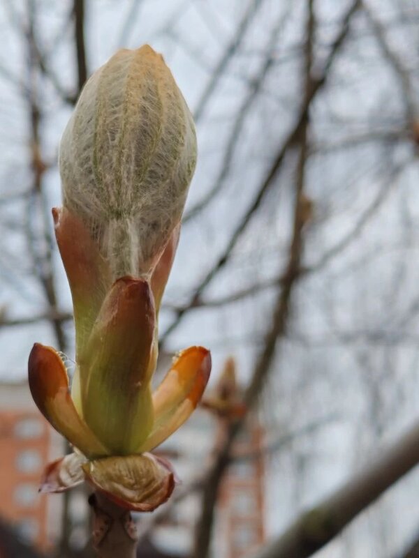 Пробуждение - Елена Семигина