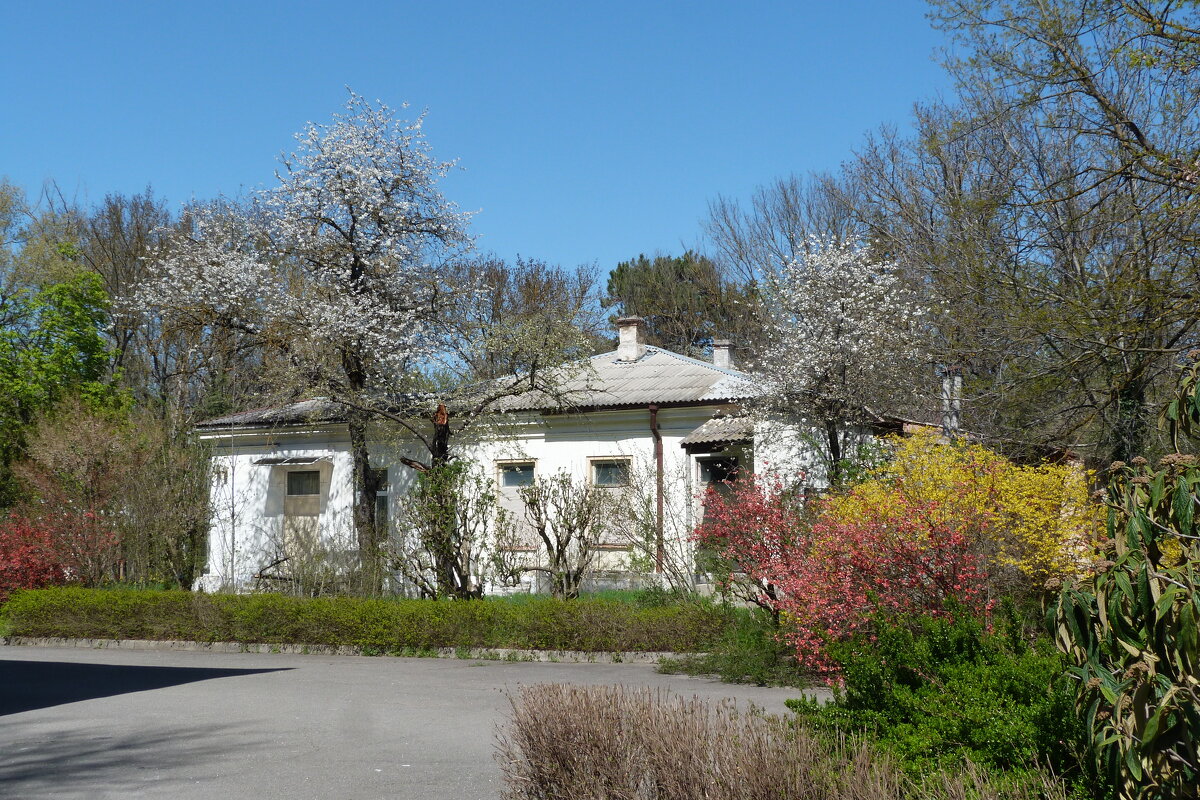 Весенние  краски - Валентин Семчишин