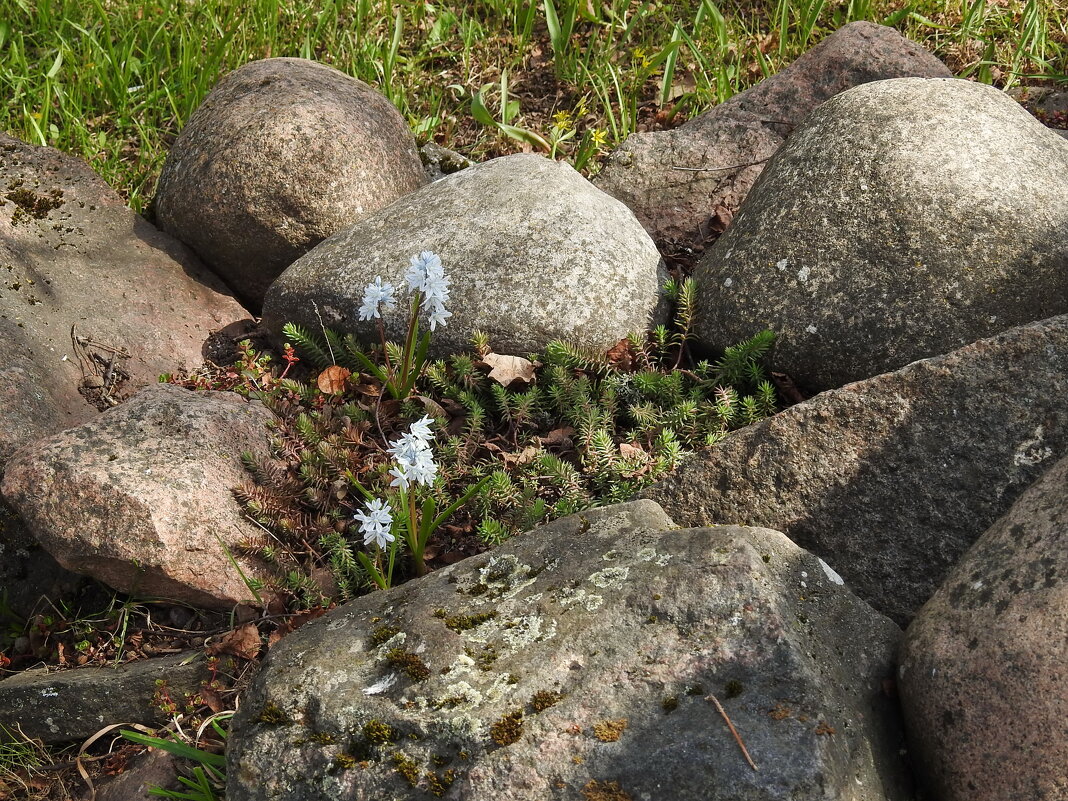 весенние зарисовки - ИННА ПОРОХОВА