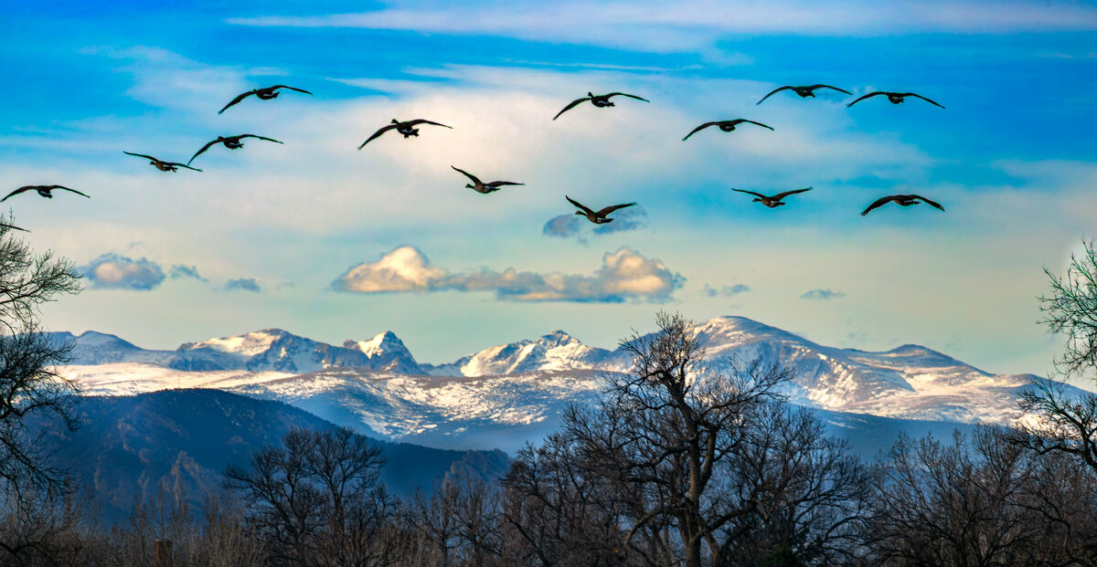 В полете - Николай Бабухин