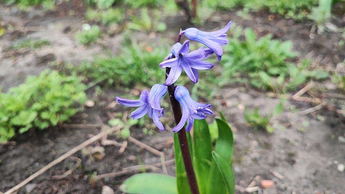 ,,, - Сергей Тимоновский