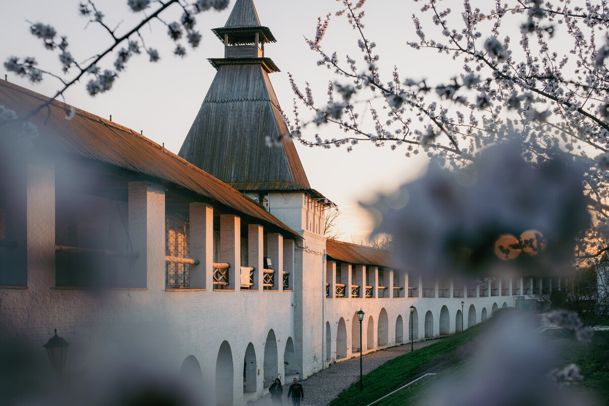 В стенах старого Кремля - Сергей Сабешкин