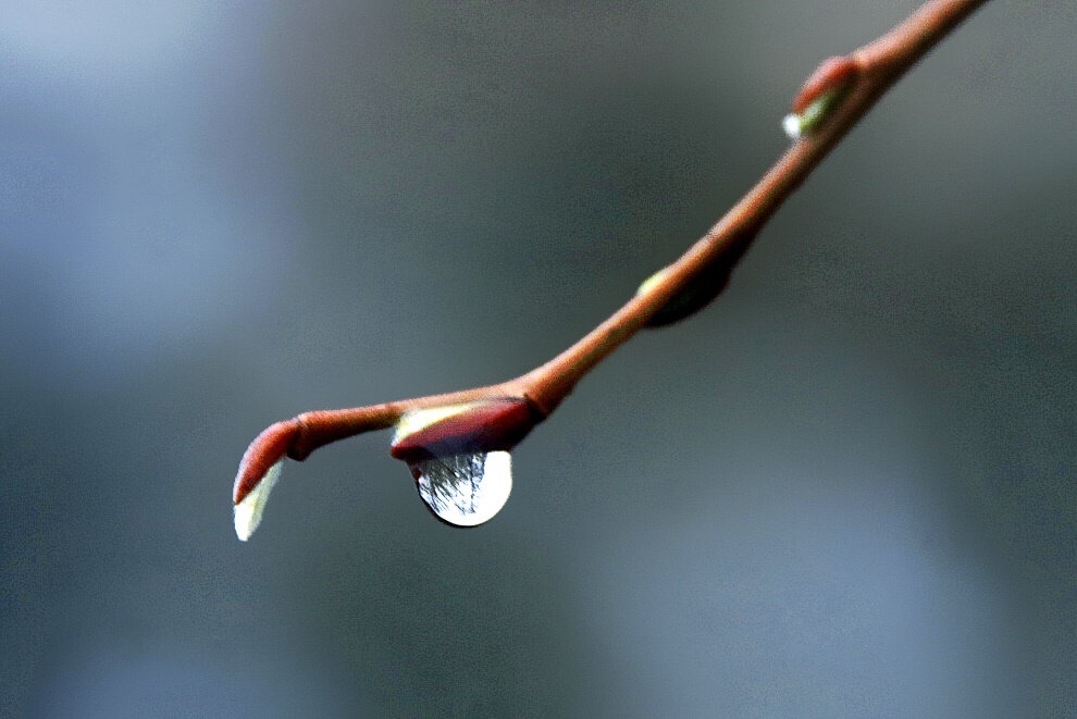 После дождя. - Вячеслав. Синицын