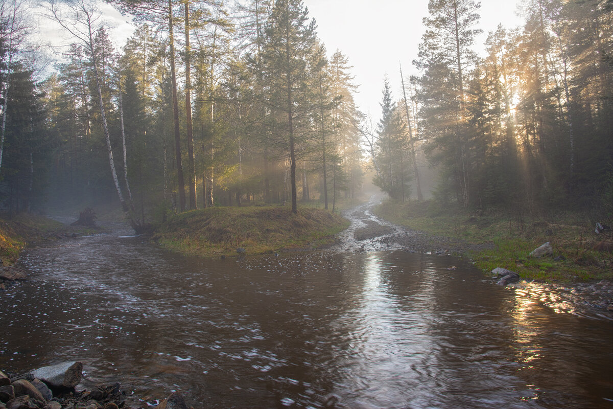 После дождя - Vladimbormotov 