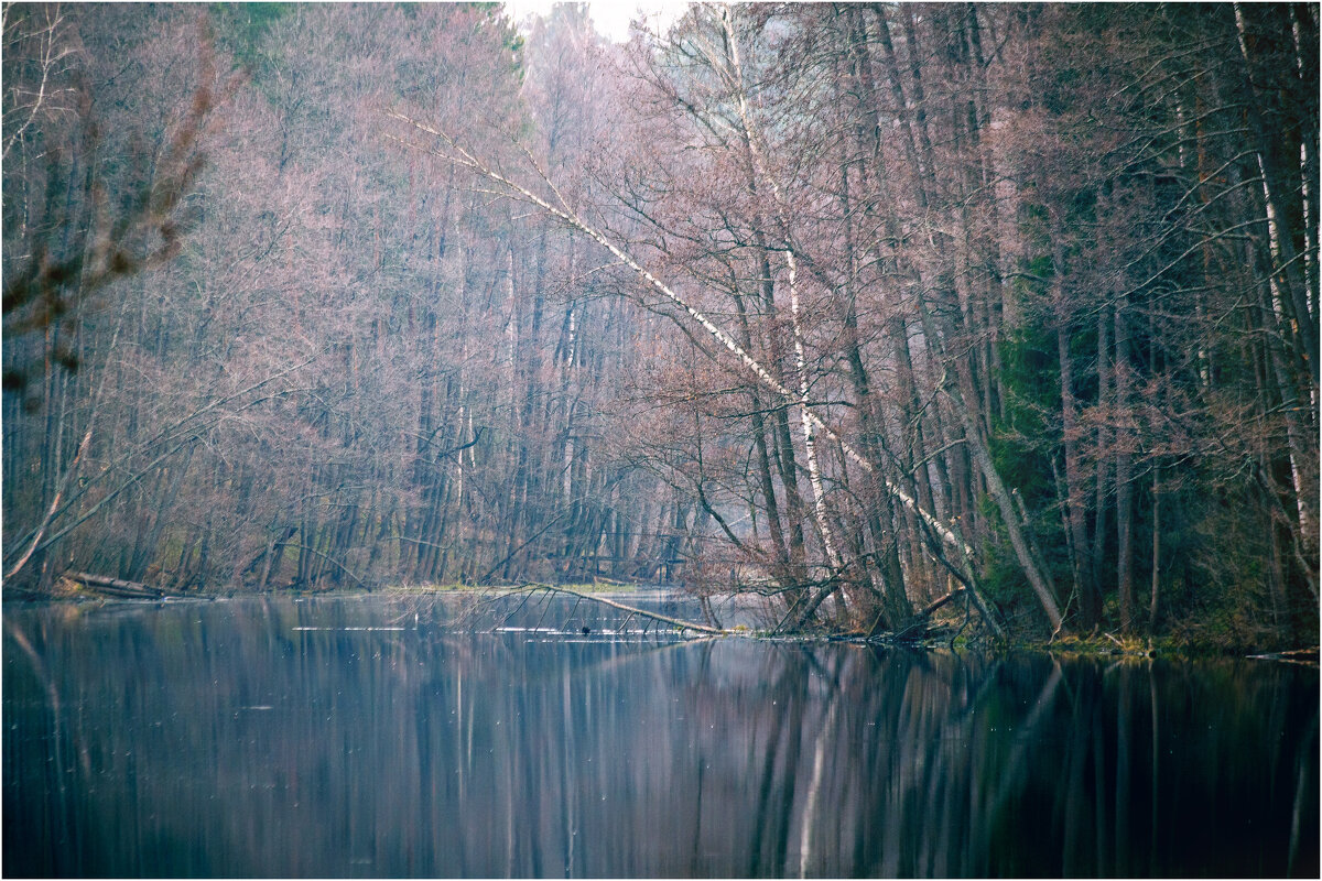 ручей Рябиновка. Апрель. - Вячеслав Владимирович