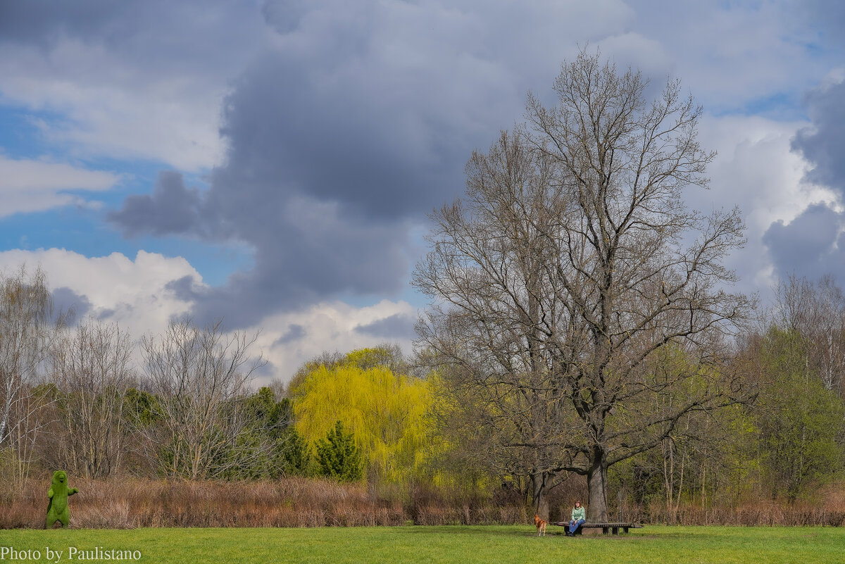 В весеннем парке... - Владимир Жданов
