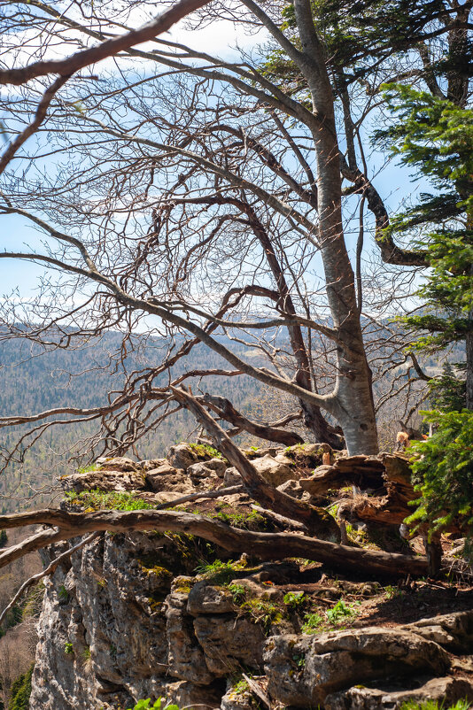 Утёс - Виктор Скаков