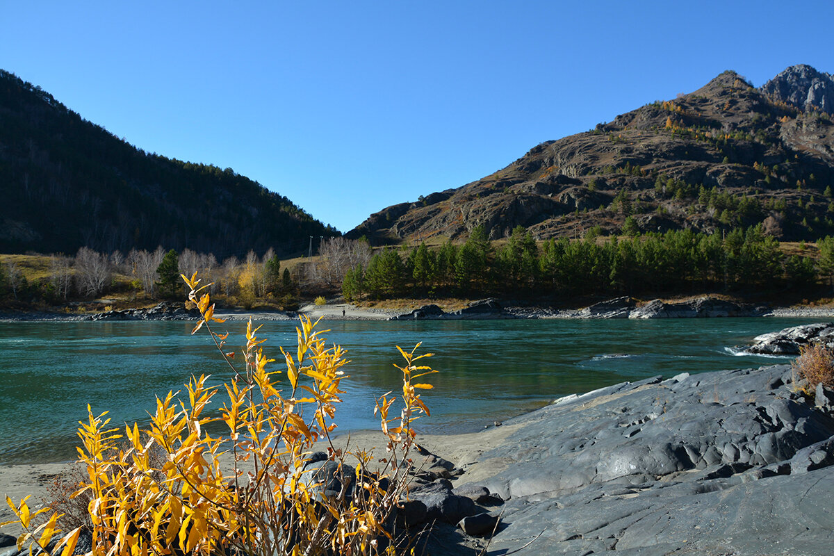 Катунь - Валерий Медведев