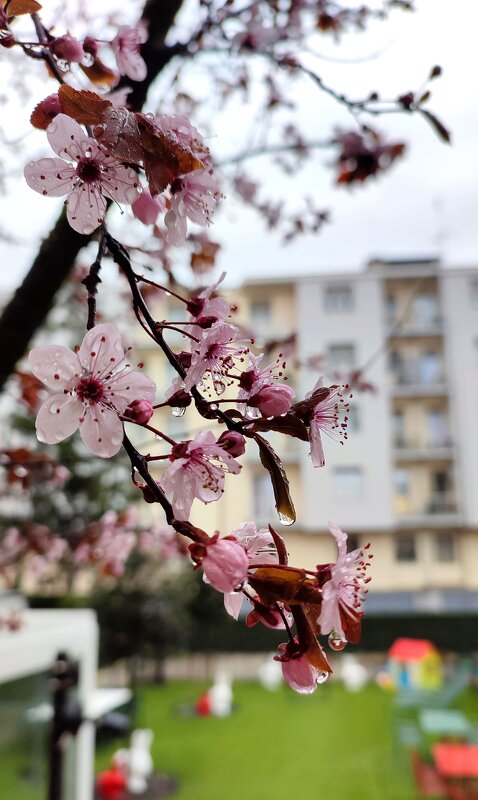 Весенний дождик - Юлия 