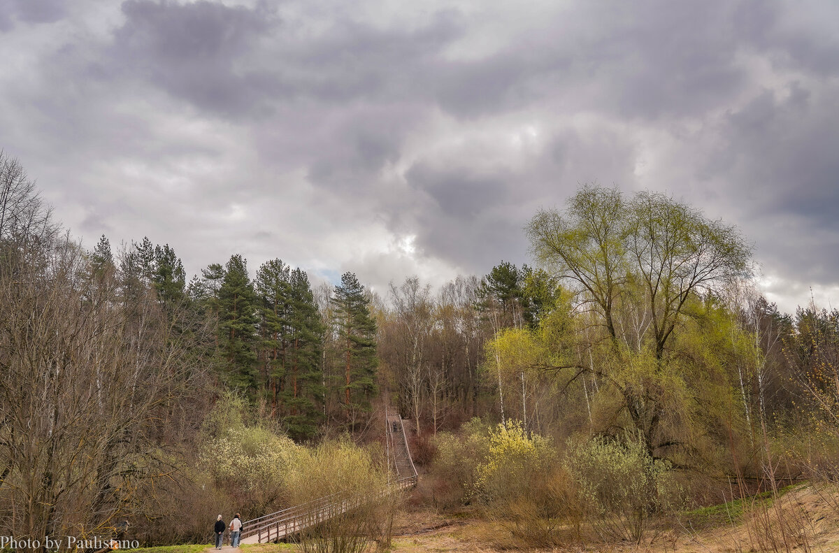 В весеннем парке... - Владимир Жданов