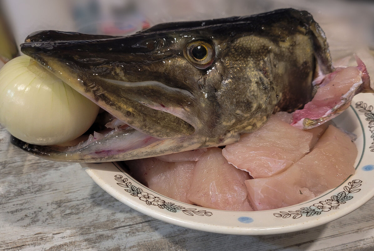 Хищница - Татьяна Машошина