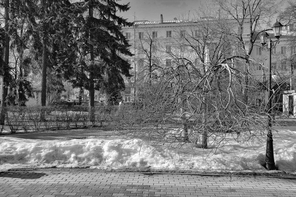 Март в Кольцовском сквере - Татьяна Машошина
