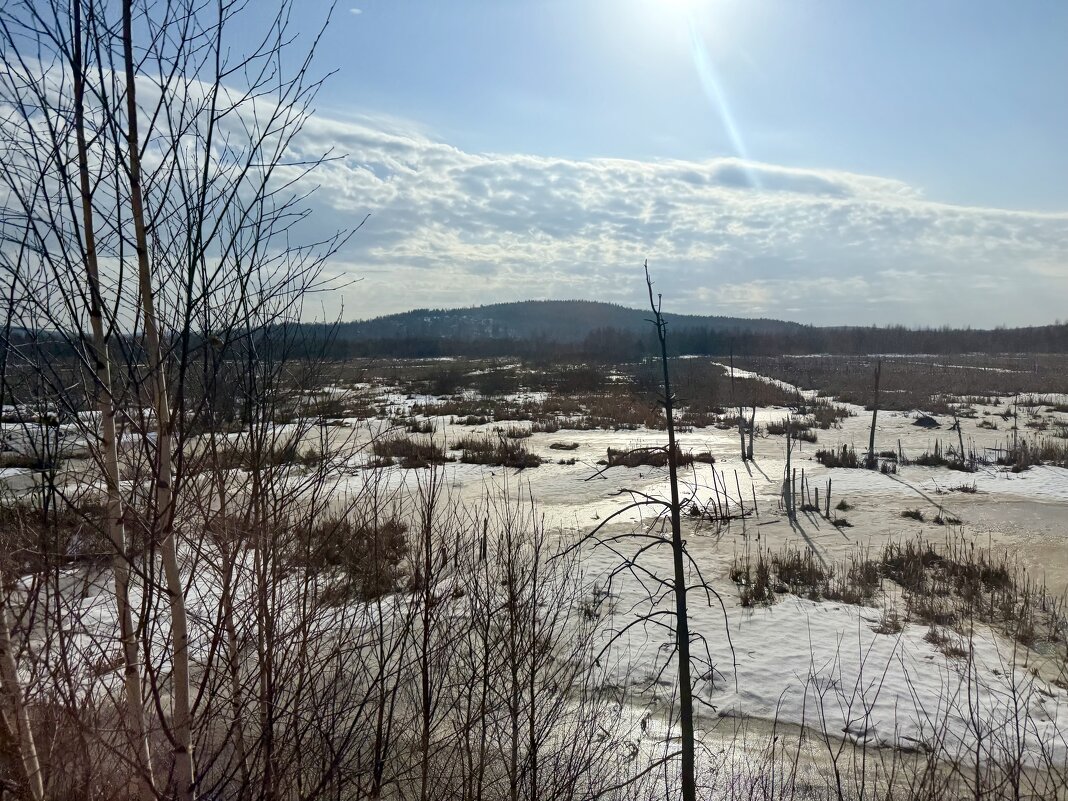 На просторах Родины… - Pippa 