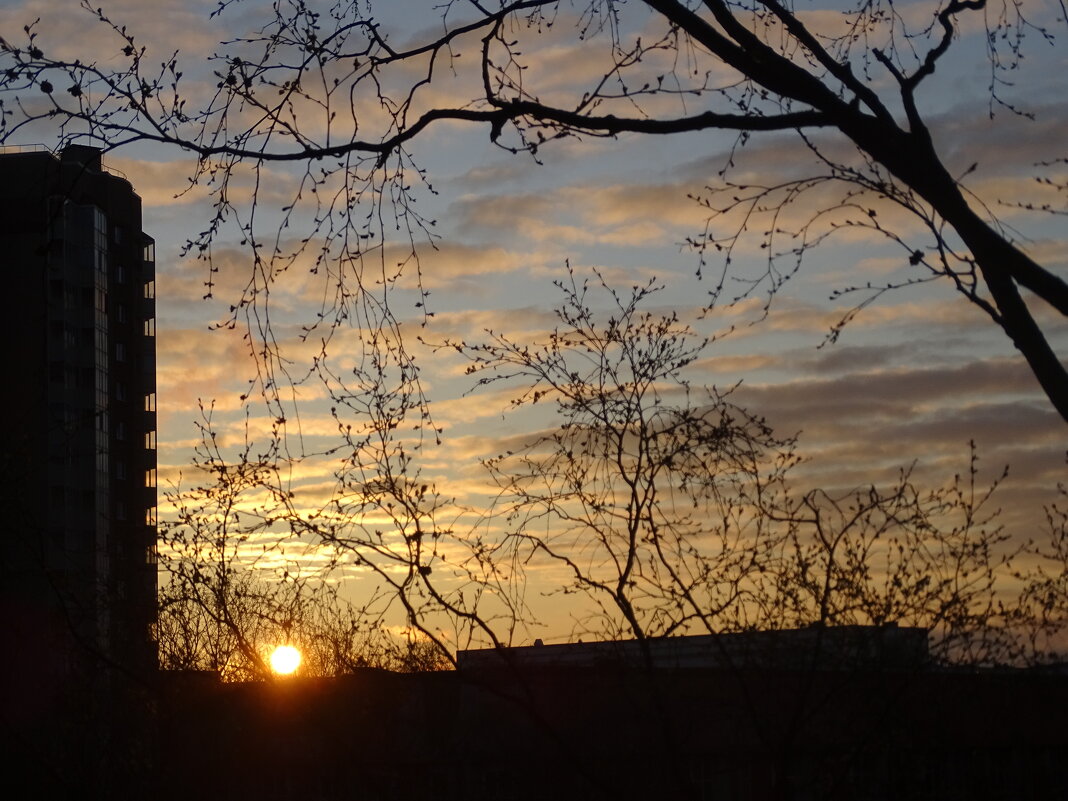 Каждое утро солнце просыпается! Иногда его видно, иногда нет! - Anna-Sabina Anna-Sabina