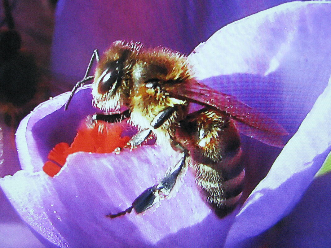 Наслаждается - Людмила Смородинская