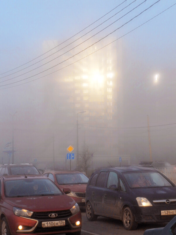 туманное утро марта - Лера 