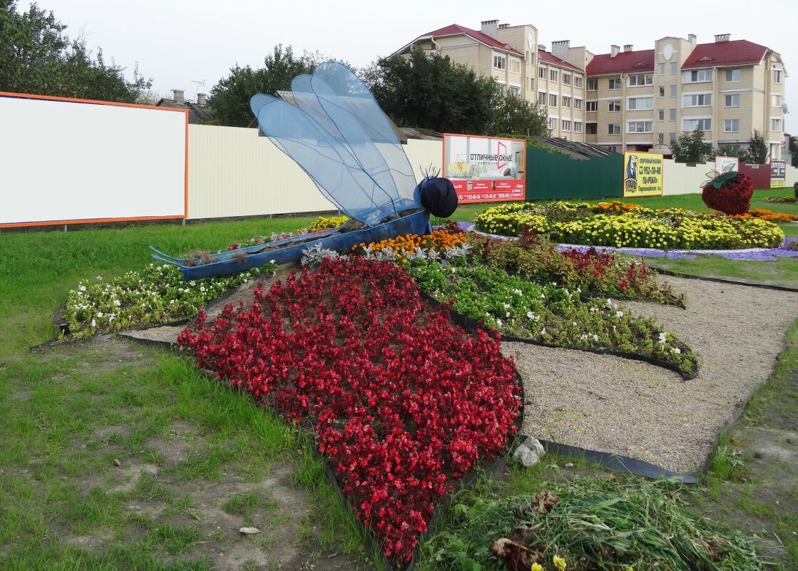 Стрекоза - PRP 