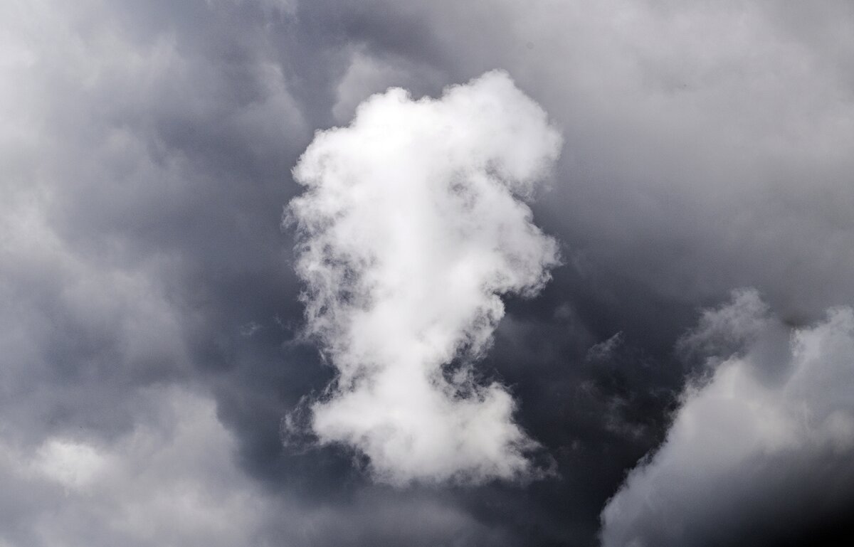 Кого-то оно мне напоминает в профиль - Валерий Иванович