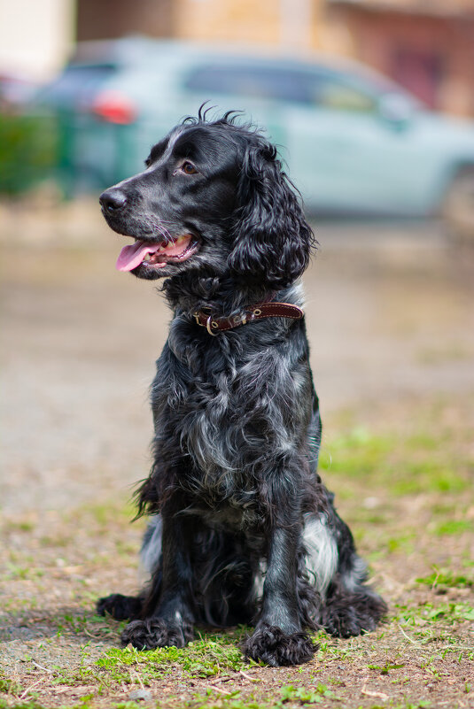 Джек - Вячеслав Дроздов