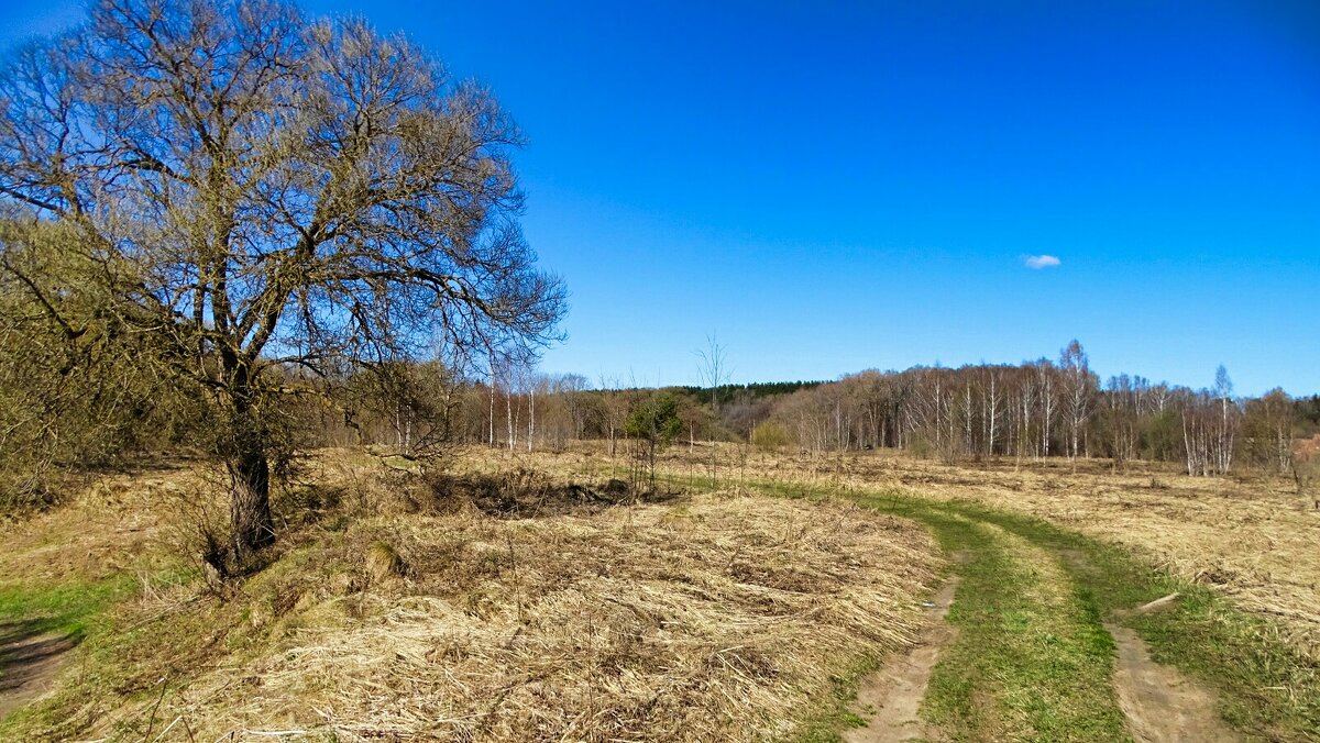 Дорога рыбаков по берегу Днепра. - Милешкин Владимир Алексеевич 