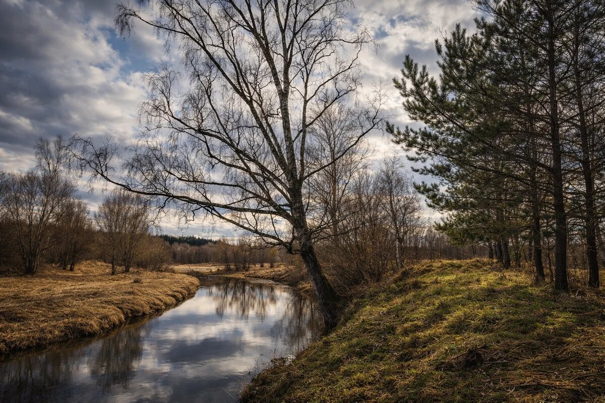 Река Молокча - Денис Бочкарёв
