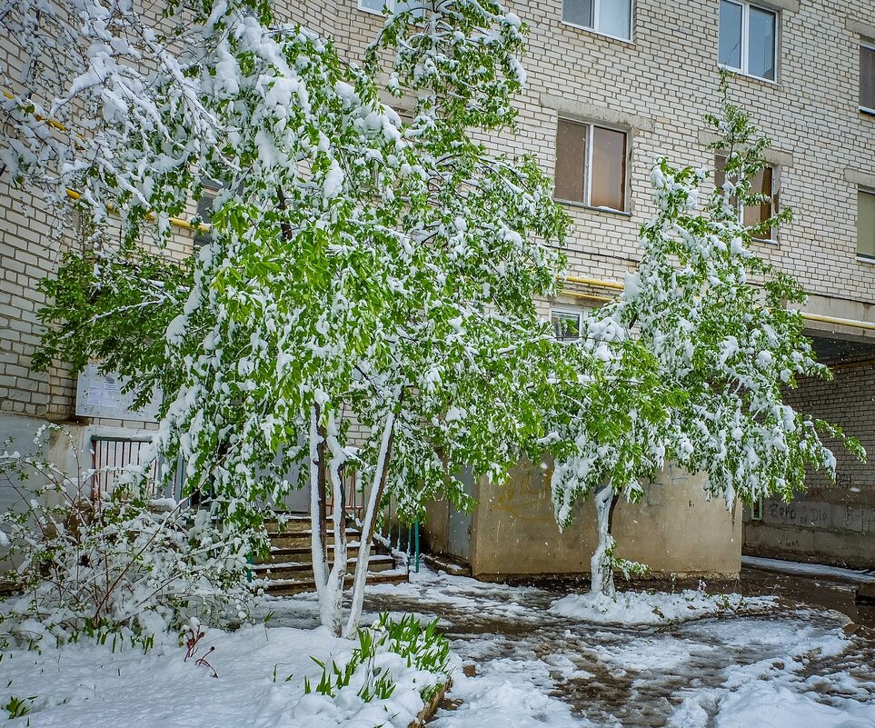 19 Апреля 2017 года город Белгород ... - Ravile 