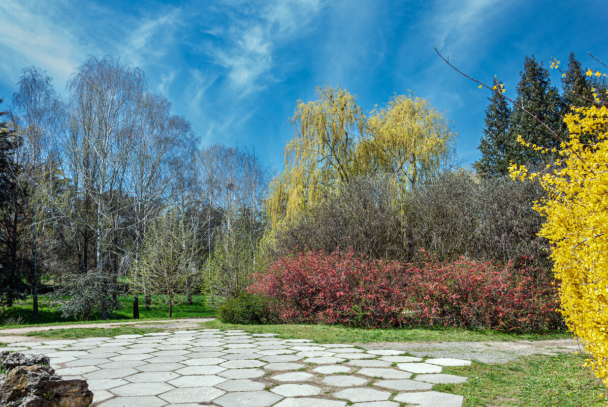 Весна в парке! - Варвара 