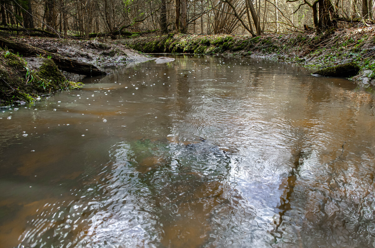 Весна . Лесной ручей - Va-Dim ...